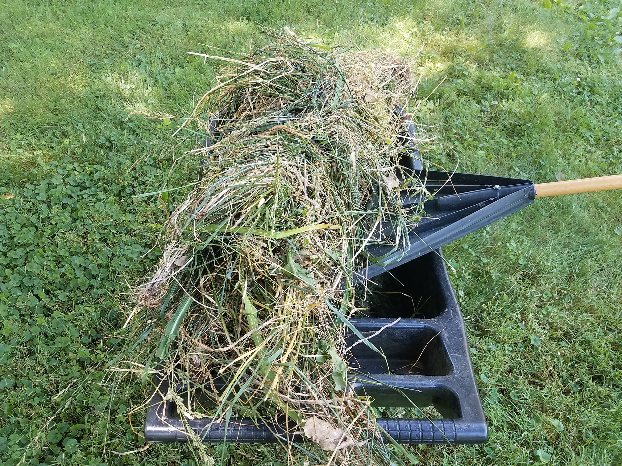 Underbrush clearing in Southeast Louisiana by Cypress Ridge Land Management, debris piled on a tool for removal